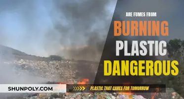 Burning Plastic: Toxic Fumes and Their Dangers