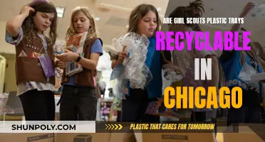 Chicago's Girl Scout Plastic Trays: Are They Recyclable?