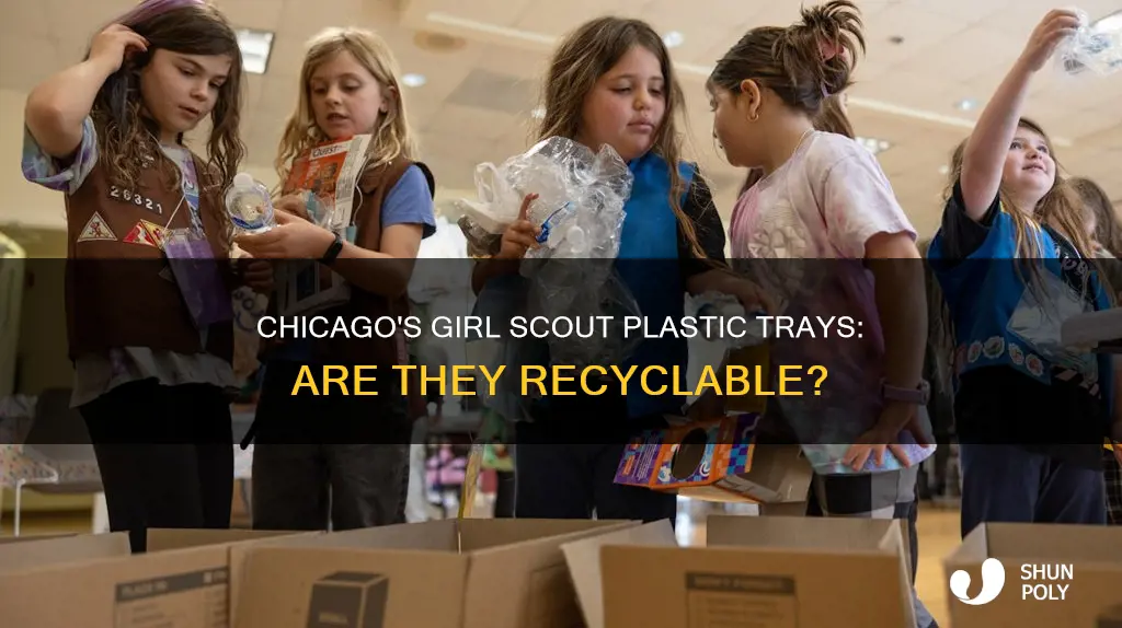 are girl scouts plastic trays recyclable in chicago