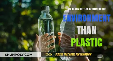 Glass vs. Plastic Bottles: Which is Greener for Our Planet?