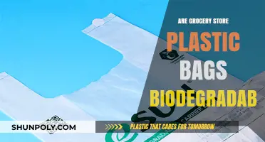 Plastic Bags: Biodegradable or Not?