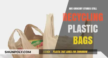 Grocery Stores: Are Plastic Bags Being Recycled?