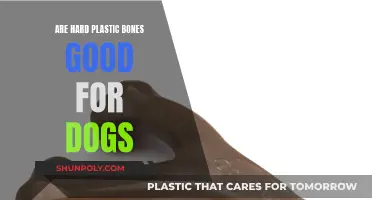 Hard Plastic Bones: Safe for Dogs?