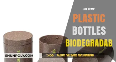 Are Hemp Plastic Bottles Biodegradable? Eco-Friendly Packaging Explained