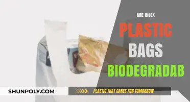 Hilex Plastic Bags: Biodegradable or Not?