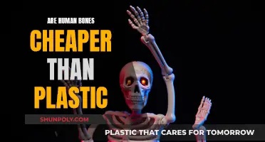 Human Bones: A Cost-Effective Alternative to Plastic?