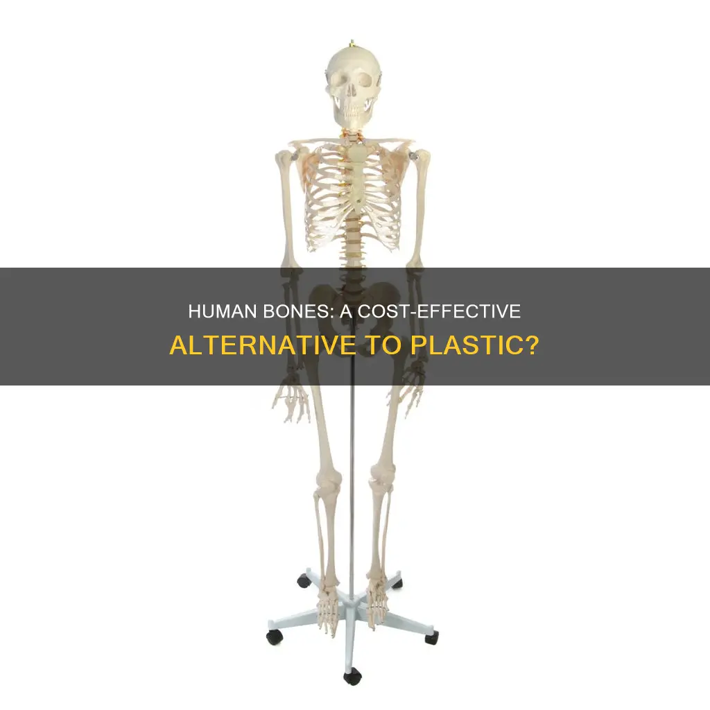 are human bones cheaper than plastic