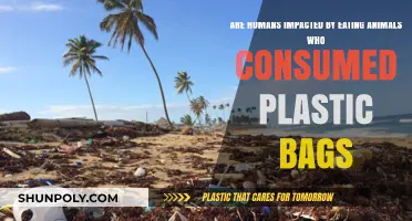 Plastic Consumption: Humans Impacted by Eating Animals?