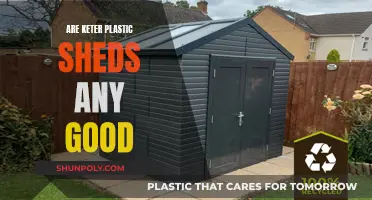 Keter Plastic Sheds: Worth the Hype?