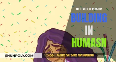 The Human Plastics Crisis: Accumulating Toxins Within