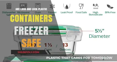 Lock & Lock Containers: Freezer-Safe Plastic?
