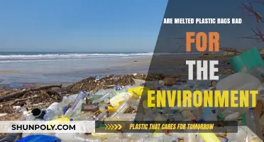 Plastic Bag Burning: What's the Environmental Impact?