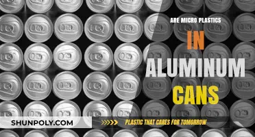 Unveiling the Truth: Microplastics in Aluminum Cans?
