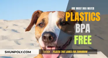 BPA-Free Plastics: Are Dog Water Containers Safe?