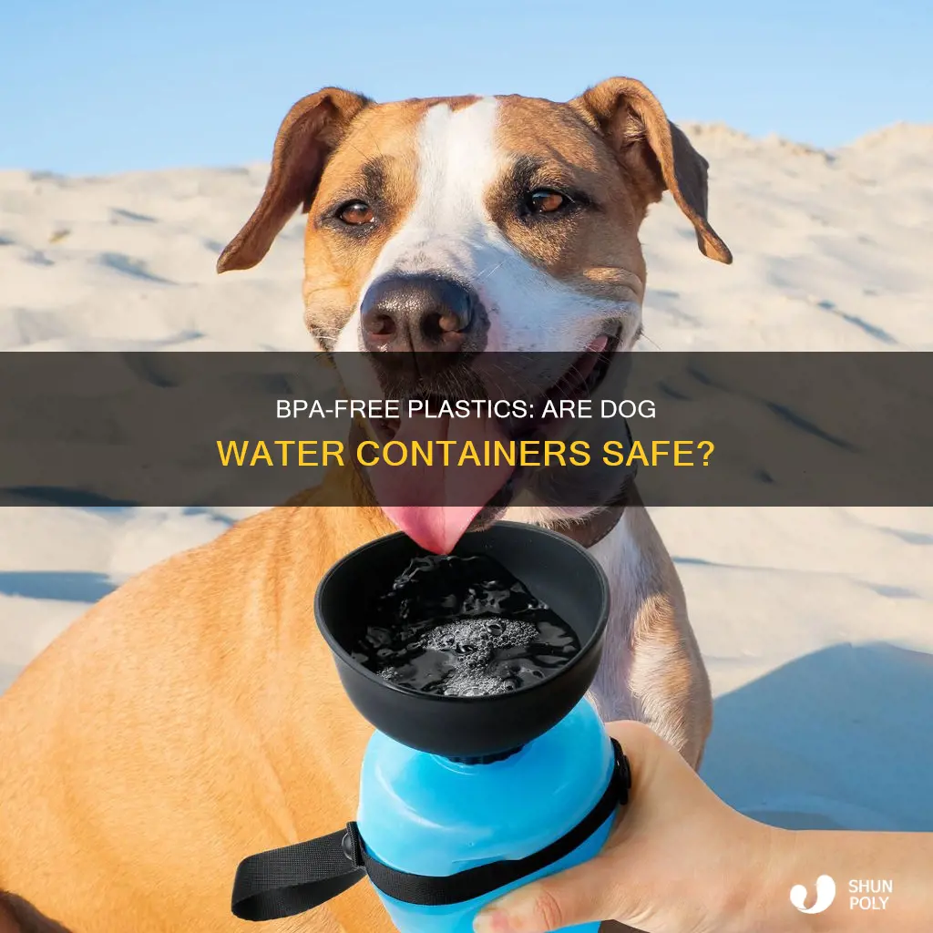 Fresh Look at Bpa Free Plastics Are Dog Water Containers Safe