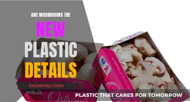 Mushrooms: The Eco-Friendly Plastic Alternative