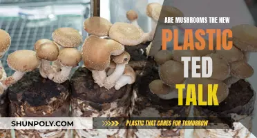 Mushrooms: Sustainable Plastic Alternative?