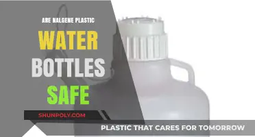 Are Nalgene Plastic Water Bottles Safe for Everyday Use?