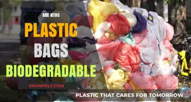 NTUC Plastic Bags: Biodegradable or Not?