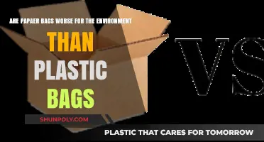 Paper vs Plastic: Which Bag is Better for the Environment?