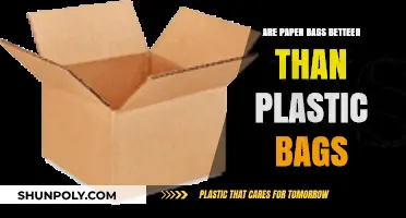 Paper vs Plastic: Which Bag is Better?