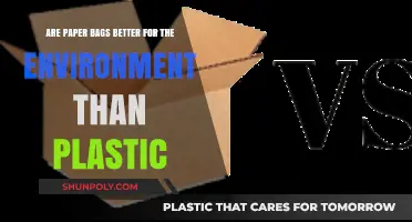 Paper vs Plastic: Which Bag is Greener?