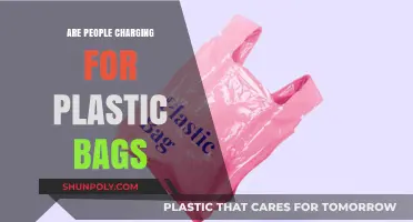 The Cost of Plastic Bags: Who Pays?