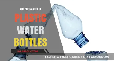 Phthalates in Plastic Water Bottles: Health Risks and Safe Alternatives
