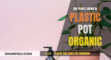 Plastic Pots: Organic or Not?