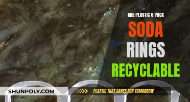 Unraveling the Mystery: Can Plastic 6-Pack Rings Be Recycled?