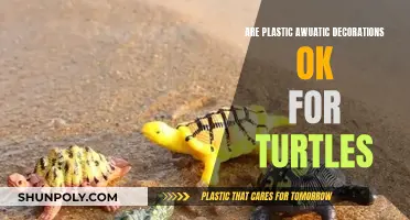 Plastic Aquatic Decor: Friend or Foe for Turtles?