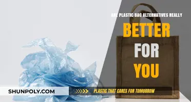Eco-Friendly or Not? Unveiling the Truth About Plastic Bag Alternatives