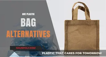 Eco-Friendly Options: Are Plastic Bag Alternatives Truly Sustainable?