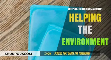 Plastic Bag Bans: Environmental Impact or Empty Gesture?