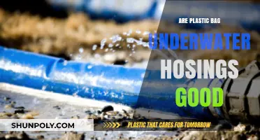 Plastic Bag Underwater Housings: Good or Bad Idea?