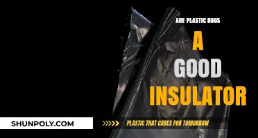 Plastic Bags: Insulating Power and Environmental Impact