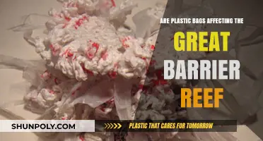 Plastic Bags: A Threat to the Great Barrier Reef?