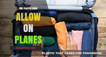 Plastic Bags: Allowed or Not on Planes?