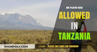 Plastic Bags in Tanzania: What's the Law?