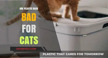 Plastic Bags: A Cat Owner's Concern?