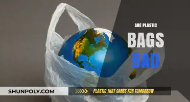 The Dark Side of Plastic Bags