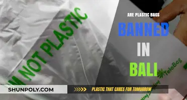 Bali's Plastic Bag Ban: Impact and Future Plans