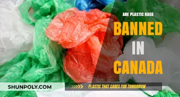 Canada's Plastic Bag Ban: What You Need to Know