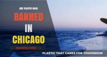 Chicago's Plastic Bag Ban: What You Need to Know