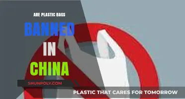 China's Plastic Bag Ban: Success or Failure?