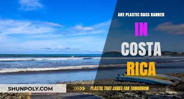 Costa Rica's Plastic Bag Ban: A Successful Environmental Initiative