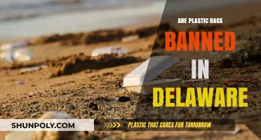 Delaware's Plastic Bag Ban: What You Need to Know