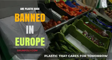 Plastic Bags: Europe's Ban and the Future