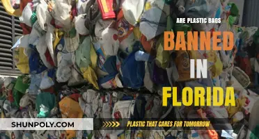 Florida's Plastic Bag Ban: What's the Status?