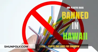 Hawaii's Plastic Bag Ban: A Step Towards Sustainability